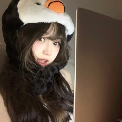 不可思议猫森林